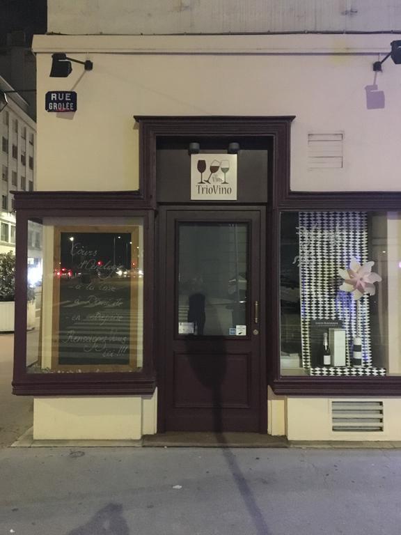 Au Coeur De Lyon Apartment Ngoại thất bức ảnh